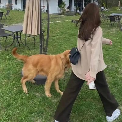 首尔破笑组